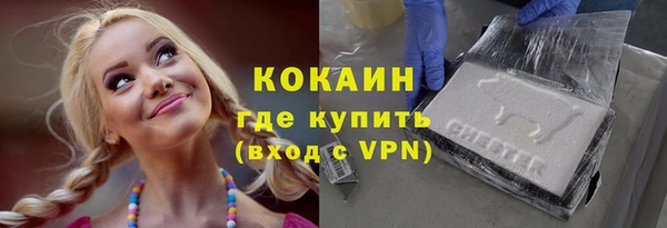 шишки Алексеевка