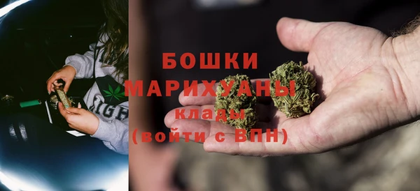 шишки Алексеевка