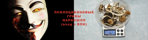 apvp Алзамай