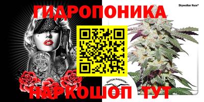 дурь Абакан