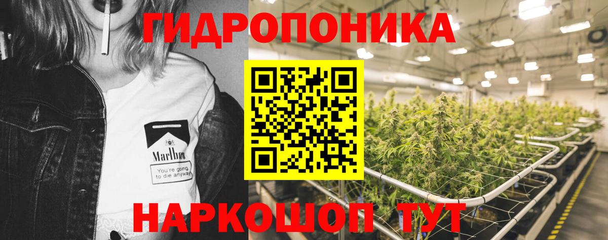 МАРИХУАНА SATIVA & INDICA Ленинск-Кузнецкий